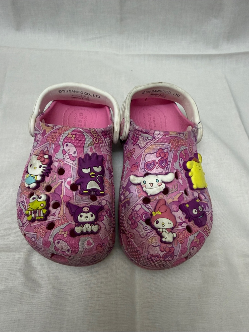 CROCS Kids' Pink Character Clog Sandals with Jibbitz